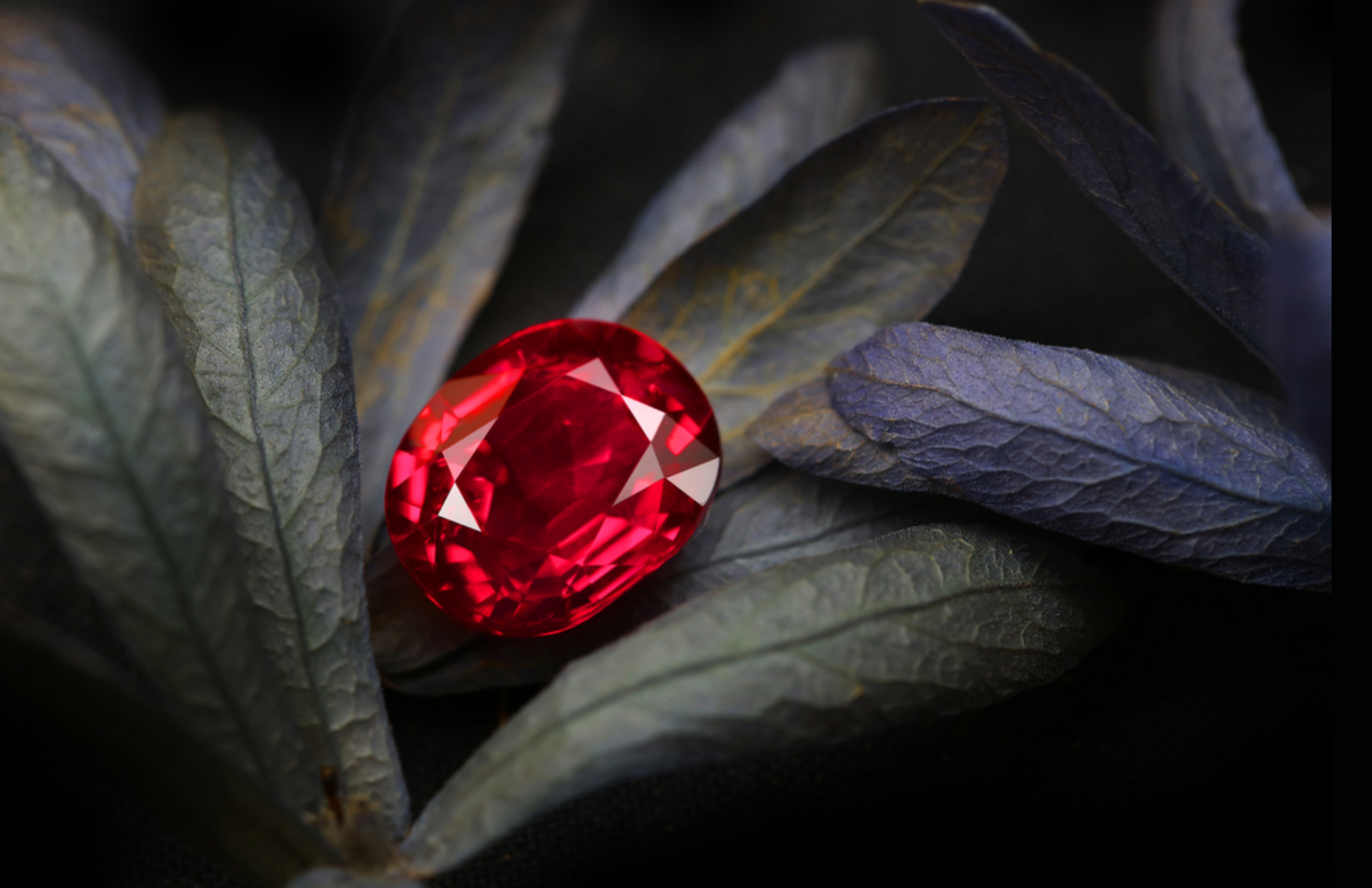 A garnet stone sits on top of leaves