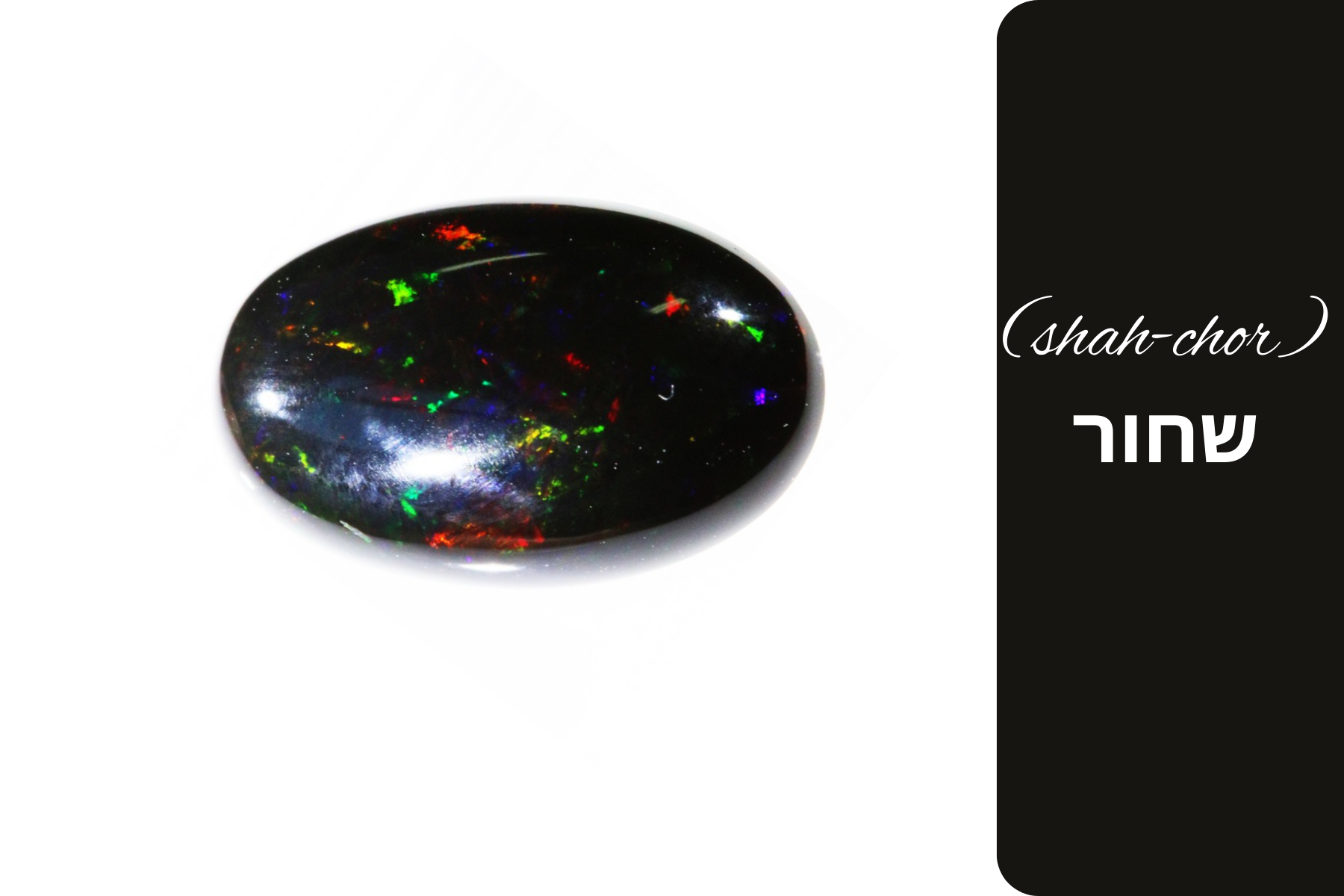 The gemstone known as a black opal with its Hebrew name