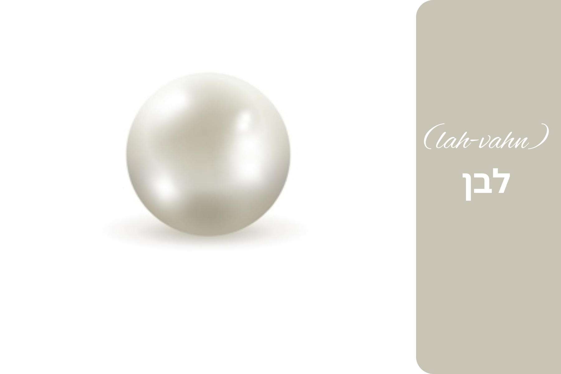 The gemstone known as a pearl with its Hebrew name