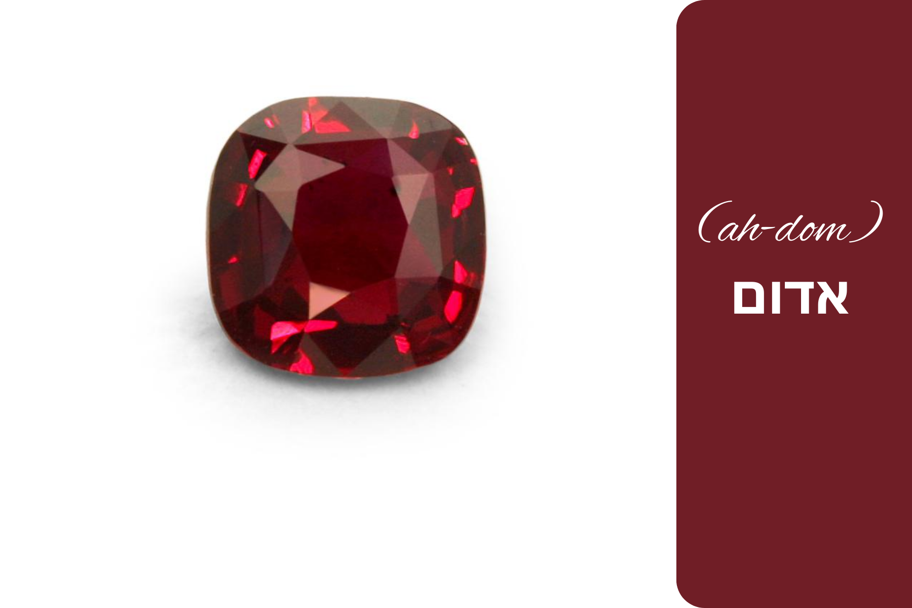 The gemstone known as a red ruby with its Hebrew name