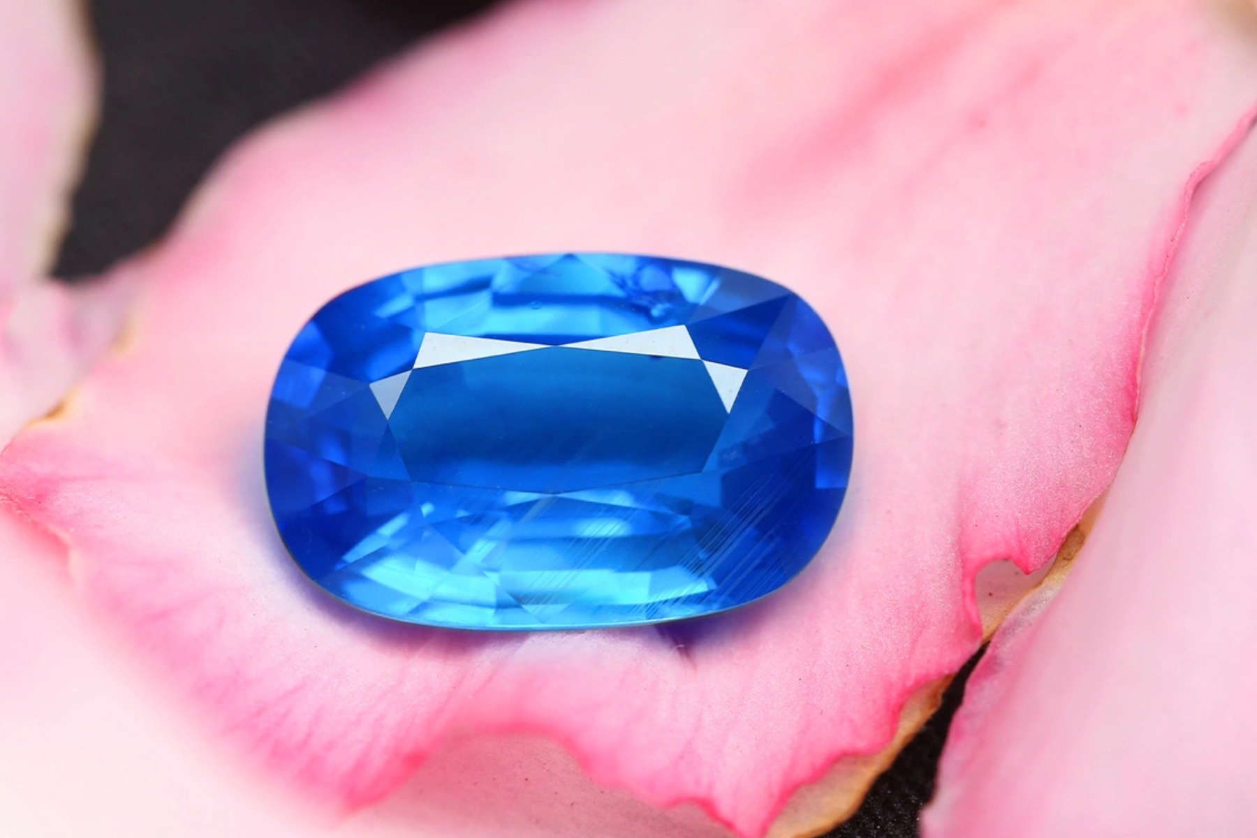 An oblong blue sapphire stone on a pink flower petal