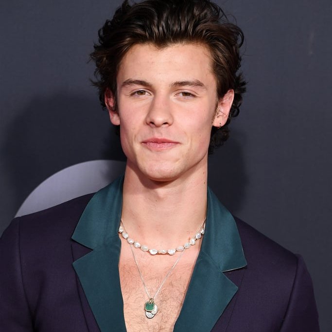 Shawn Mendes wearing pendant and pearl necklace