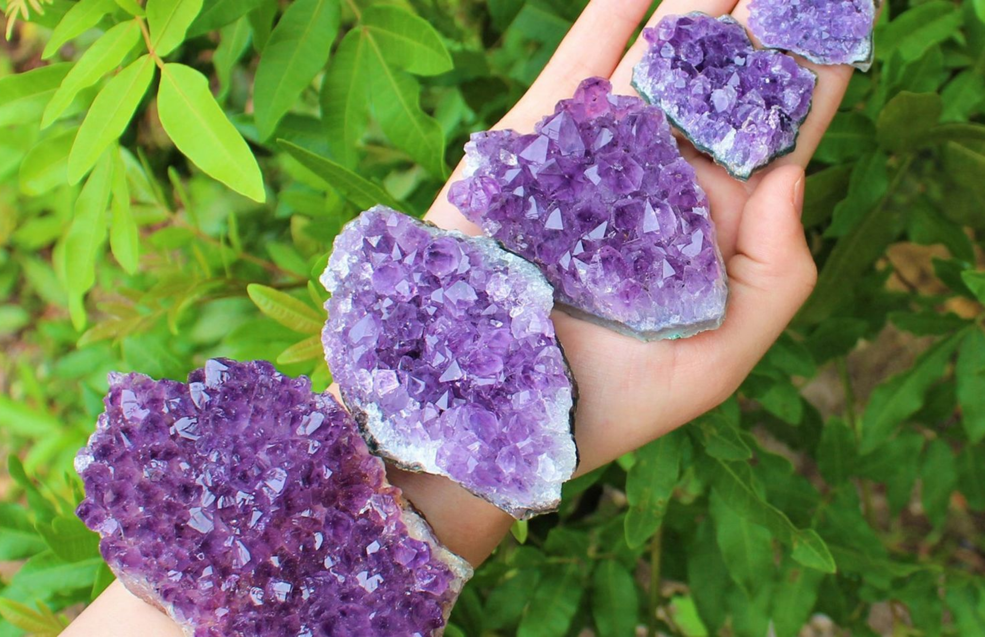 Five amethyst stones on a woman's hand with leaves in the background