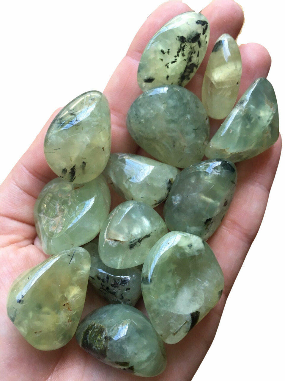 Thirteen prehnite stones placed on the hand