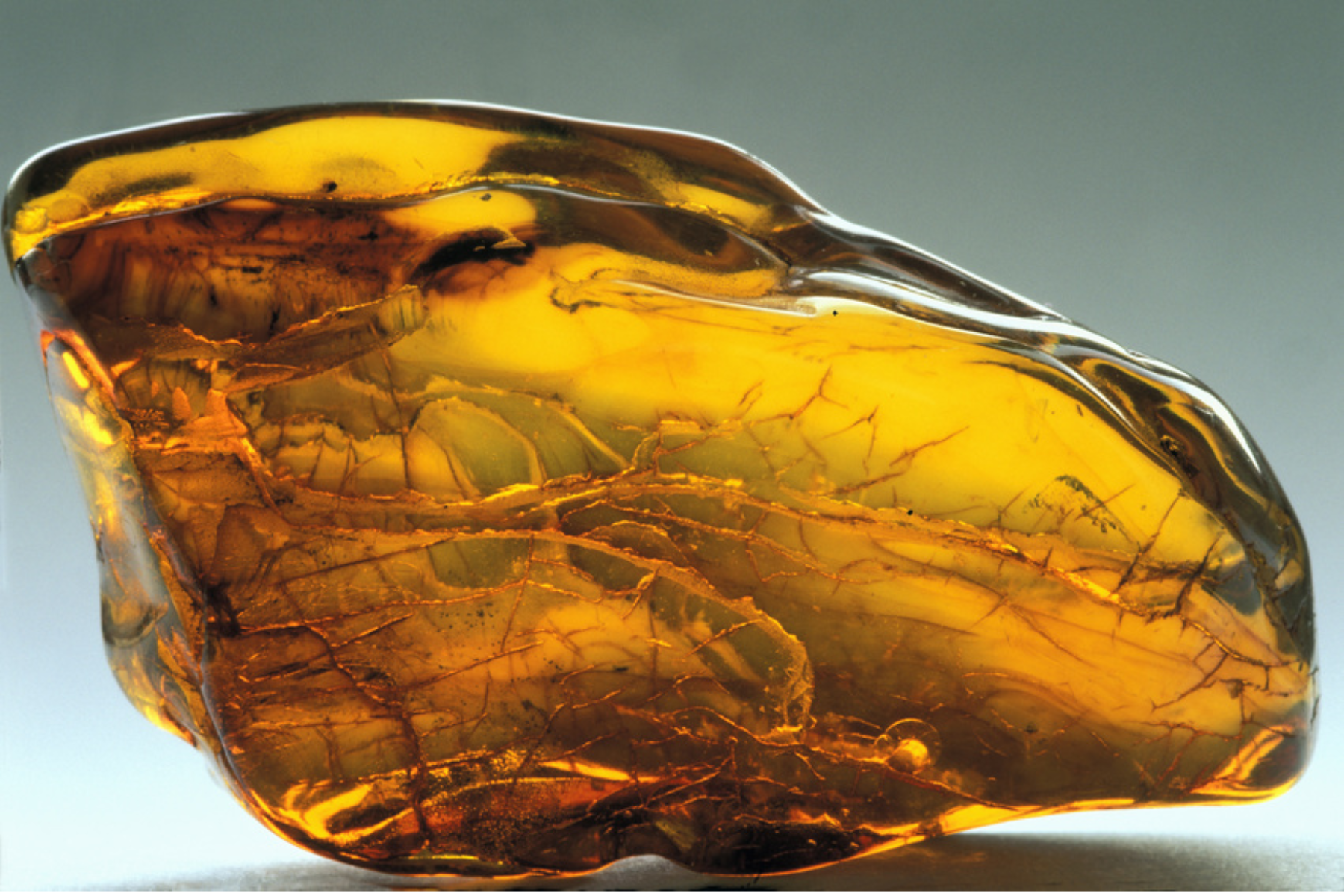 Yellow transparent amber containing thin tree roots