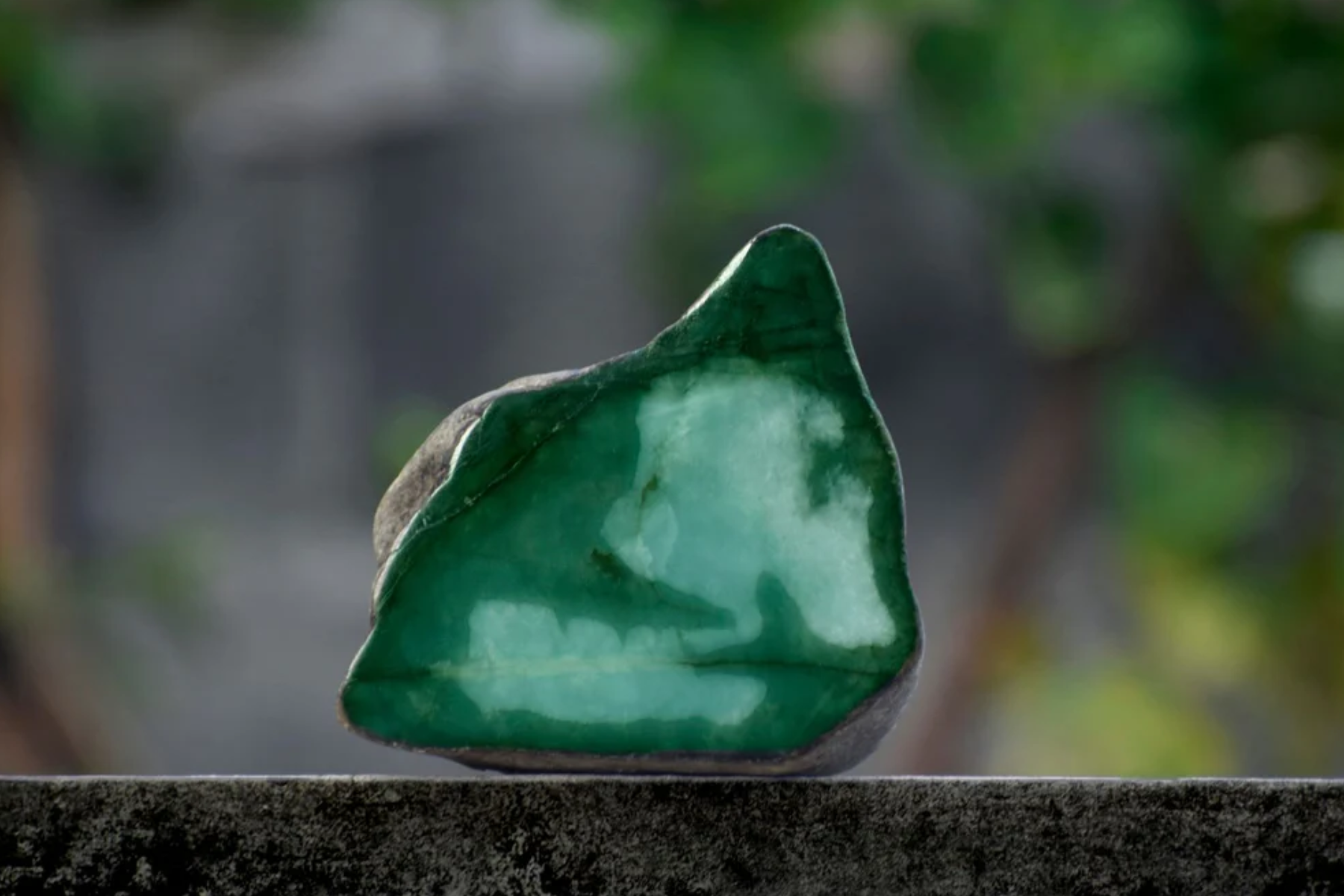 On a blurry scene, a Jade stands on a long block of stone