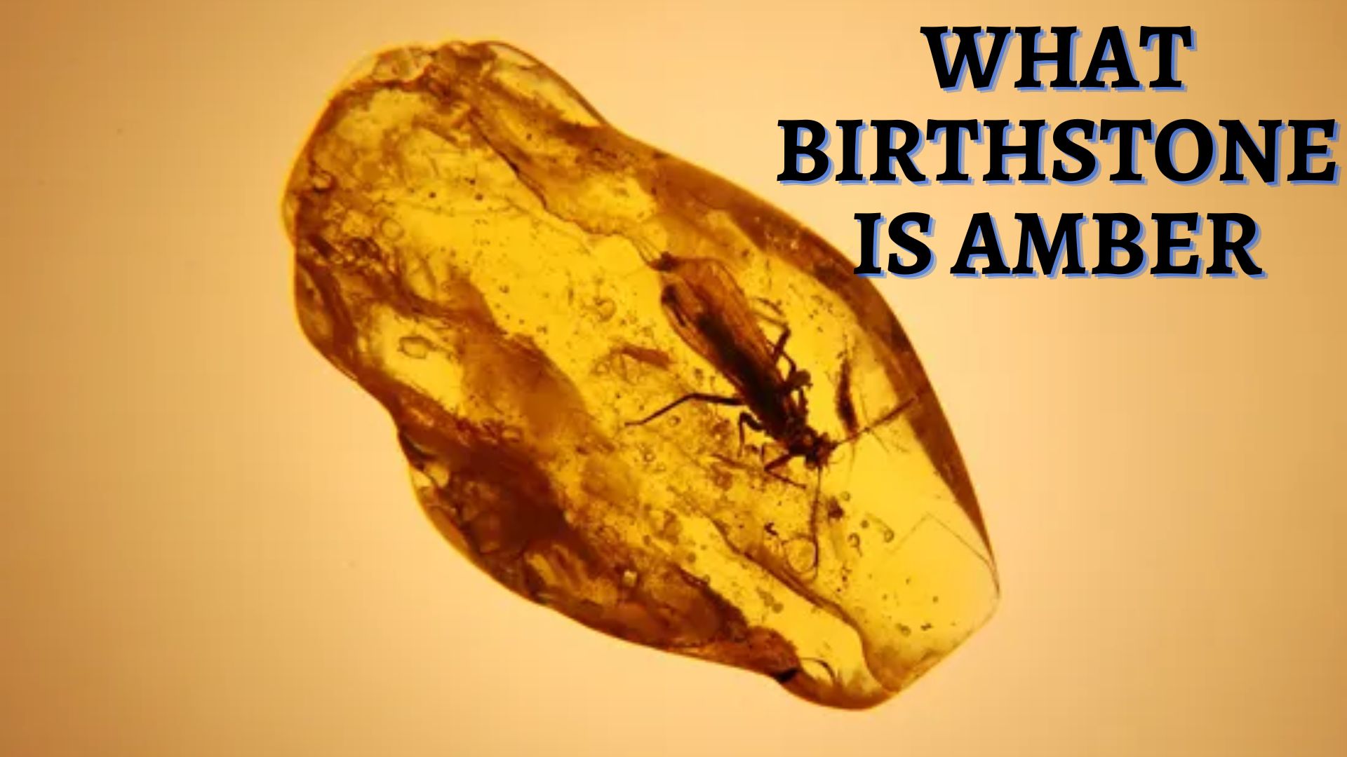 What Birthstone Is Amber - The November's Birthstone