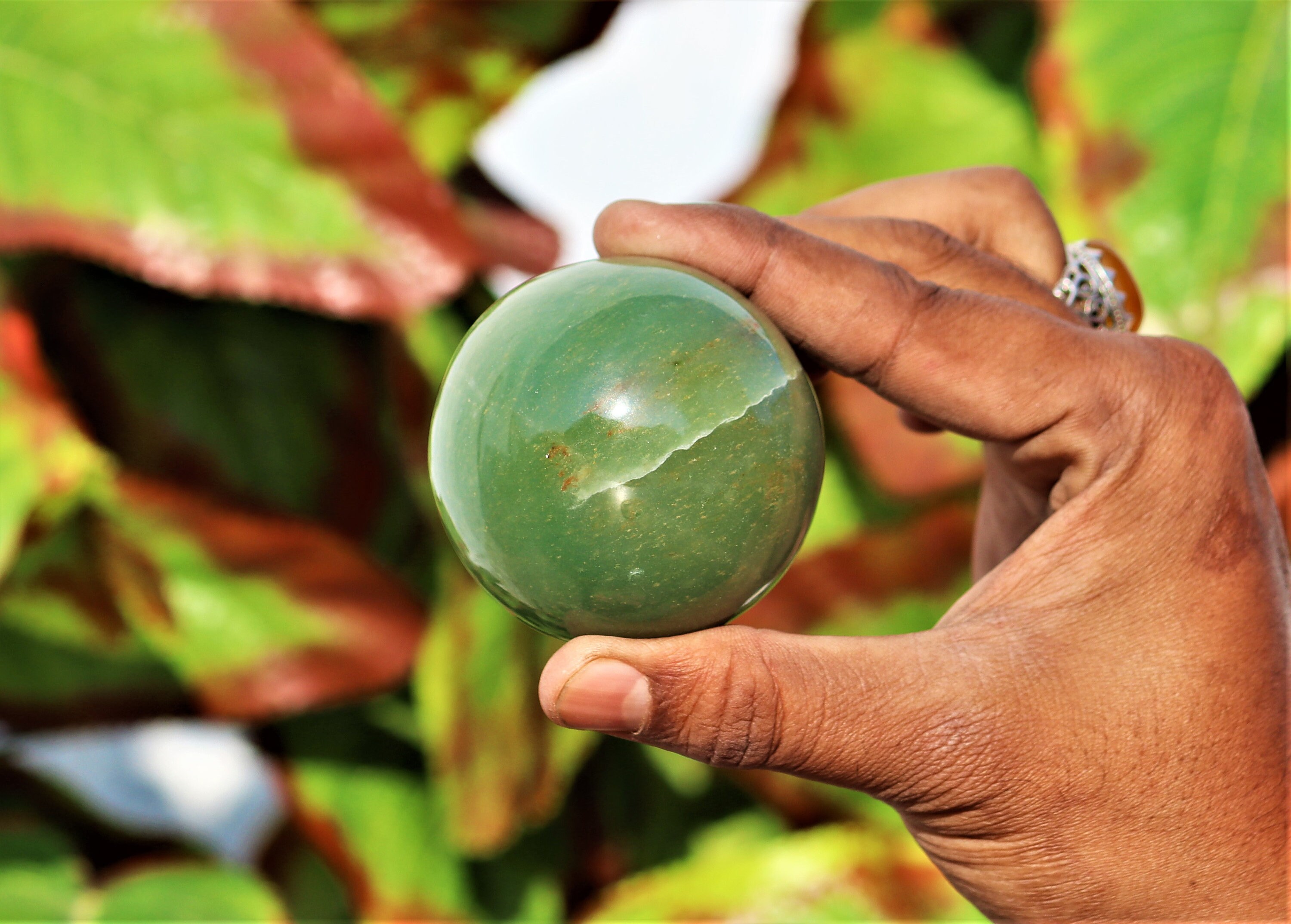 A woman's hand holding a round aventurine in a leafy setting