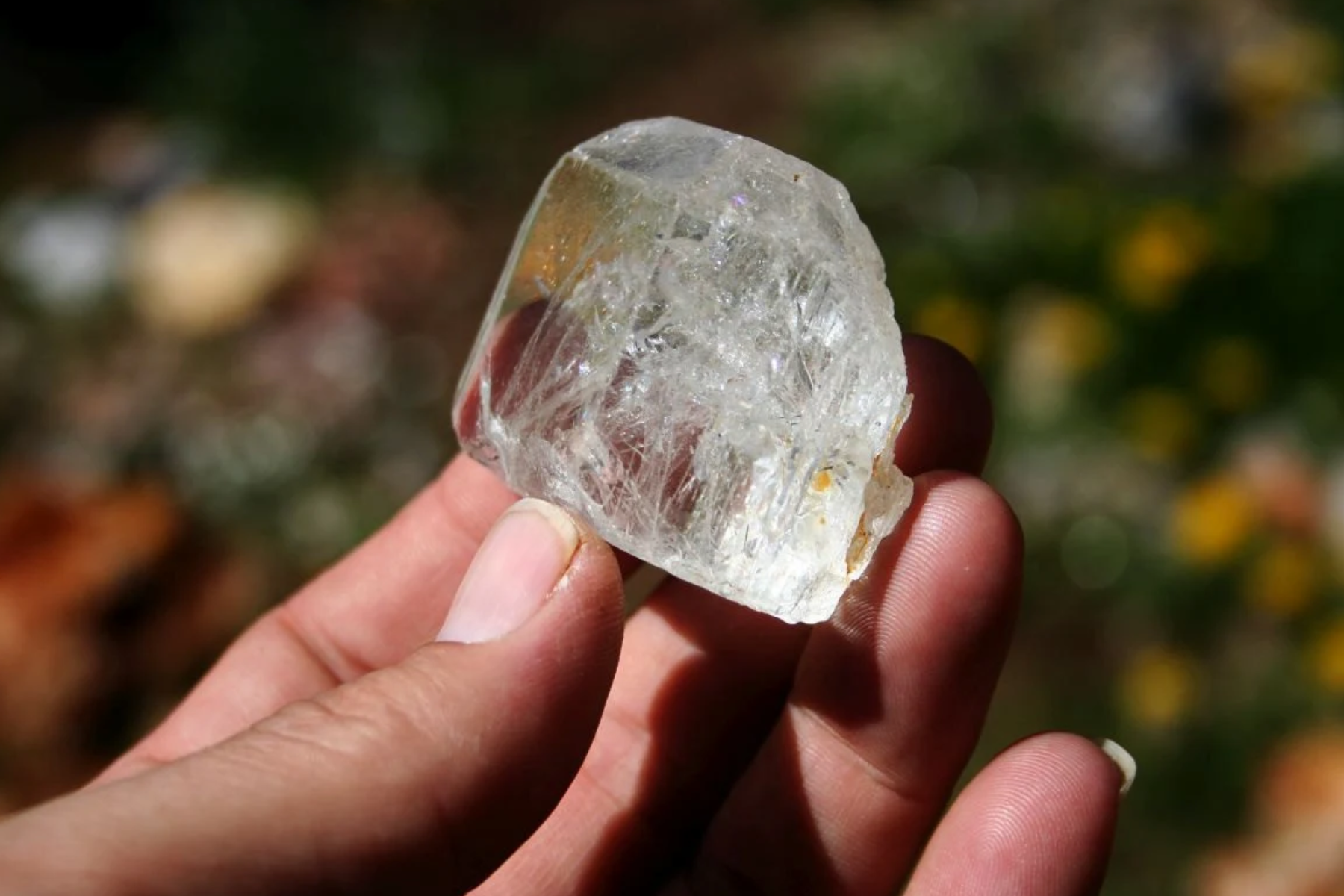 A woman's hand holding a clear topaz stone in a leafy setting