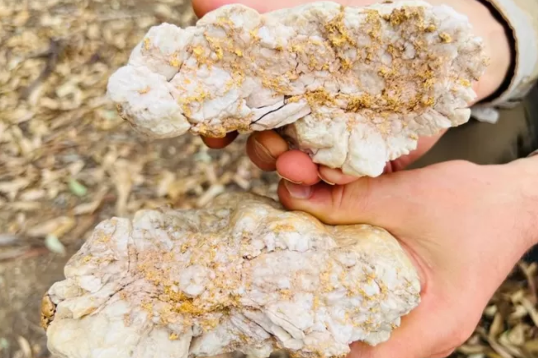 Amateur Australian Gold Digger Finds Massive Nugget