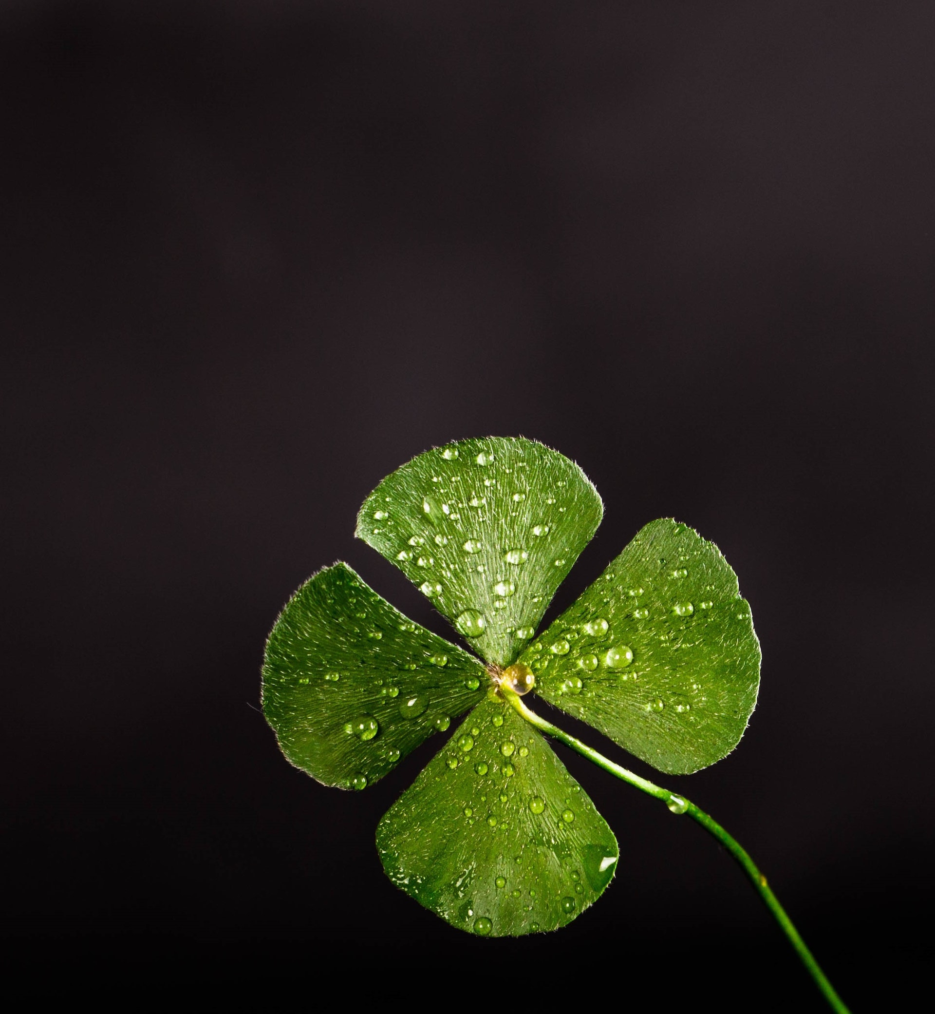 Are there superstitions for increasing luck