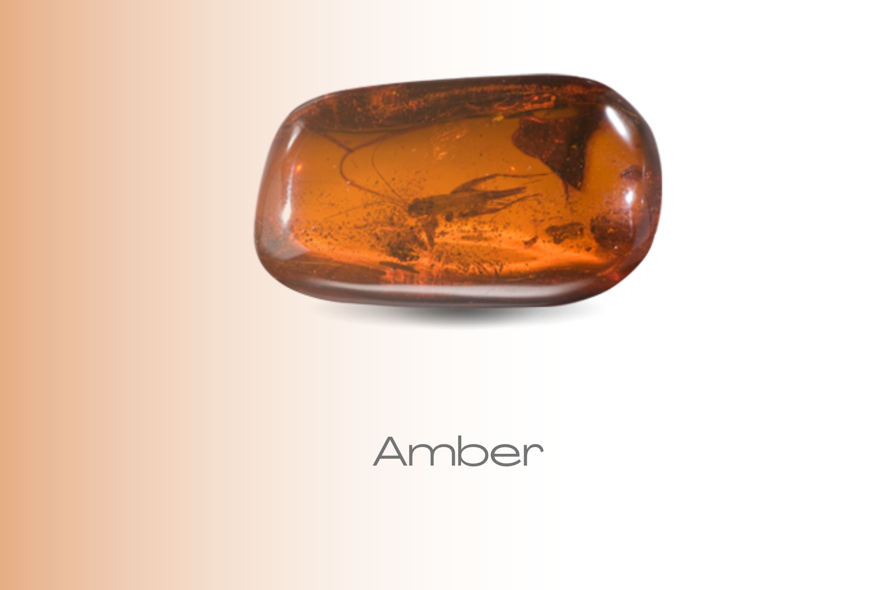 Yellow-dark brown ambert stone with a grasshopper inside