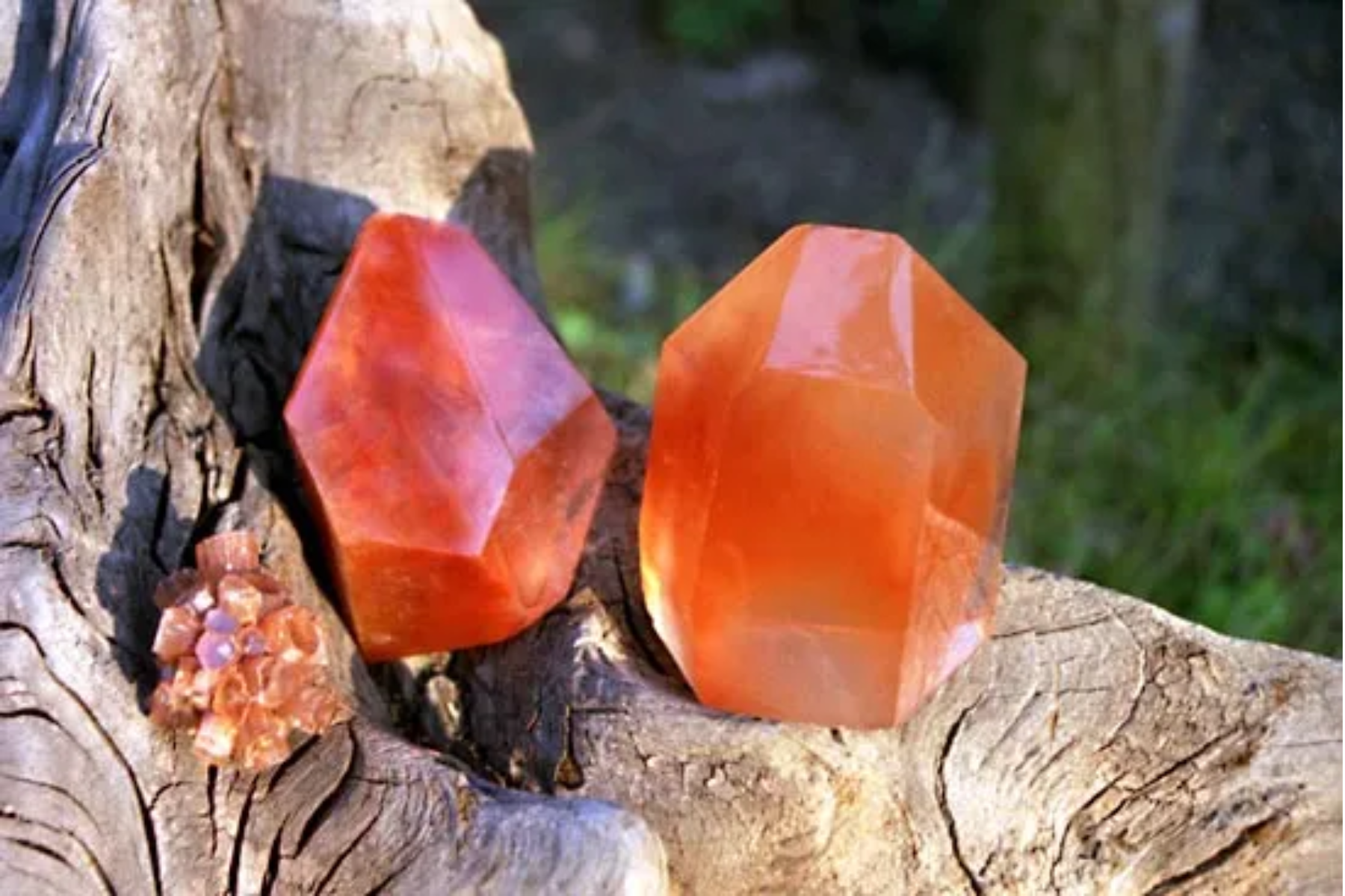 Two massive orange carnelian gemstones rest on a large tree branch