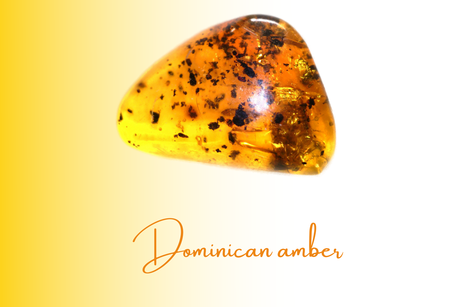 Inside is a triangular yellow Dominican amber with a lot of insects and small objects