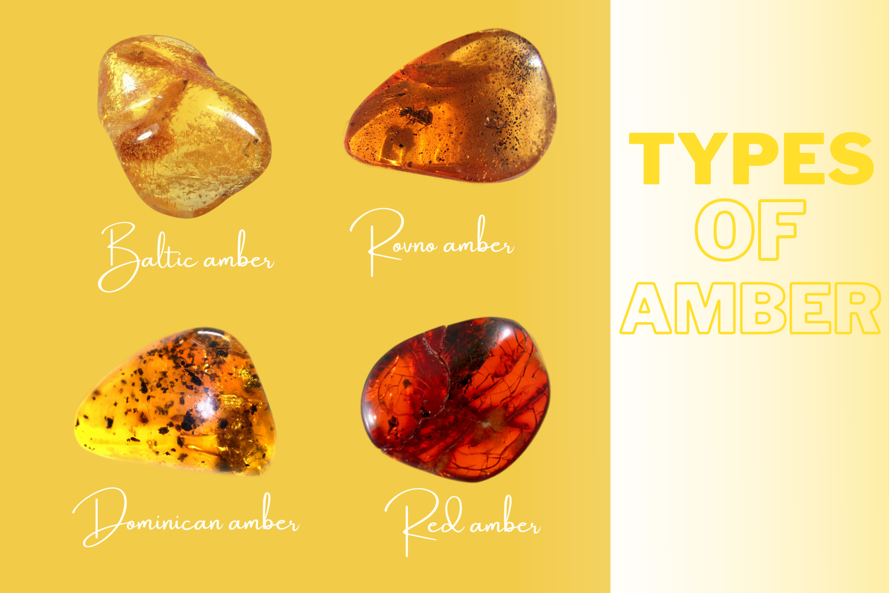 Types Of Amber - Can Hardened Tree Resin Ambers Be Used In Jewelry?