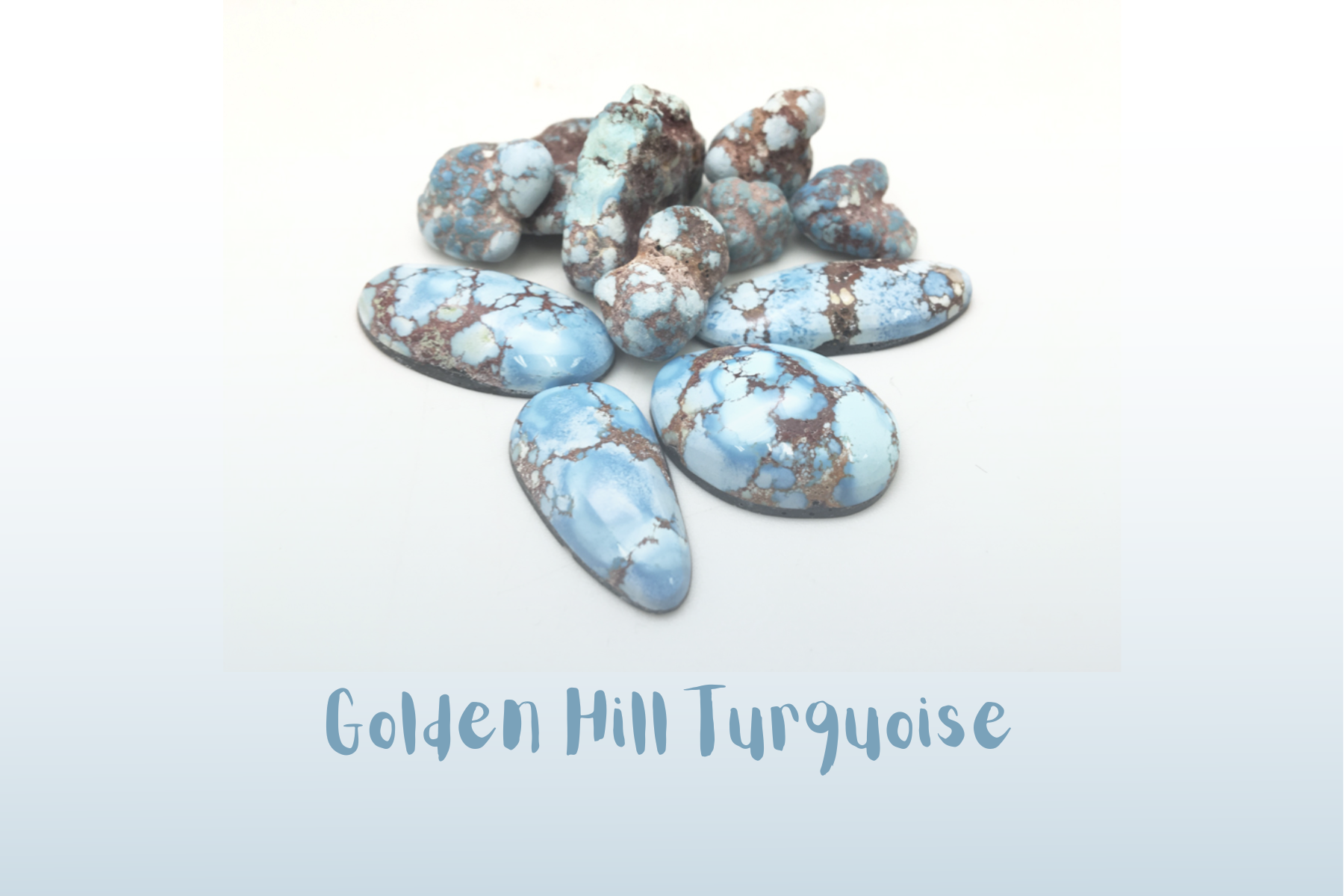 Eleven Golden Hill turquoise stones with black and blue shades