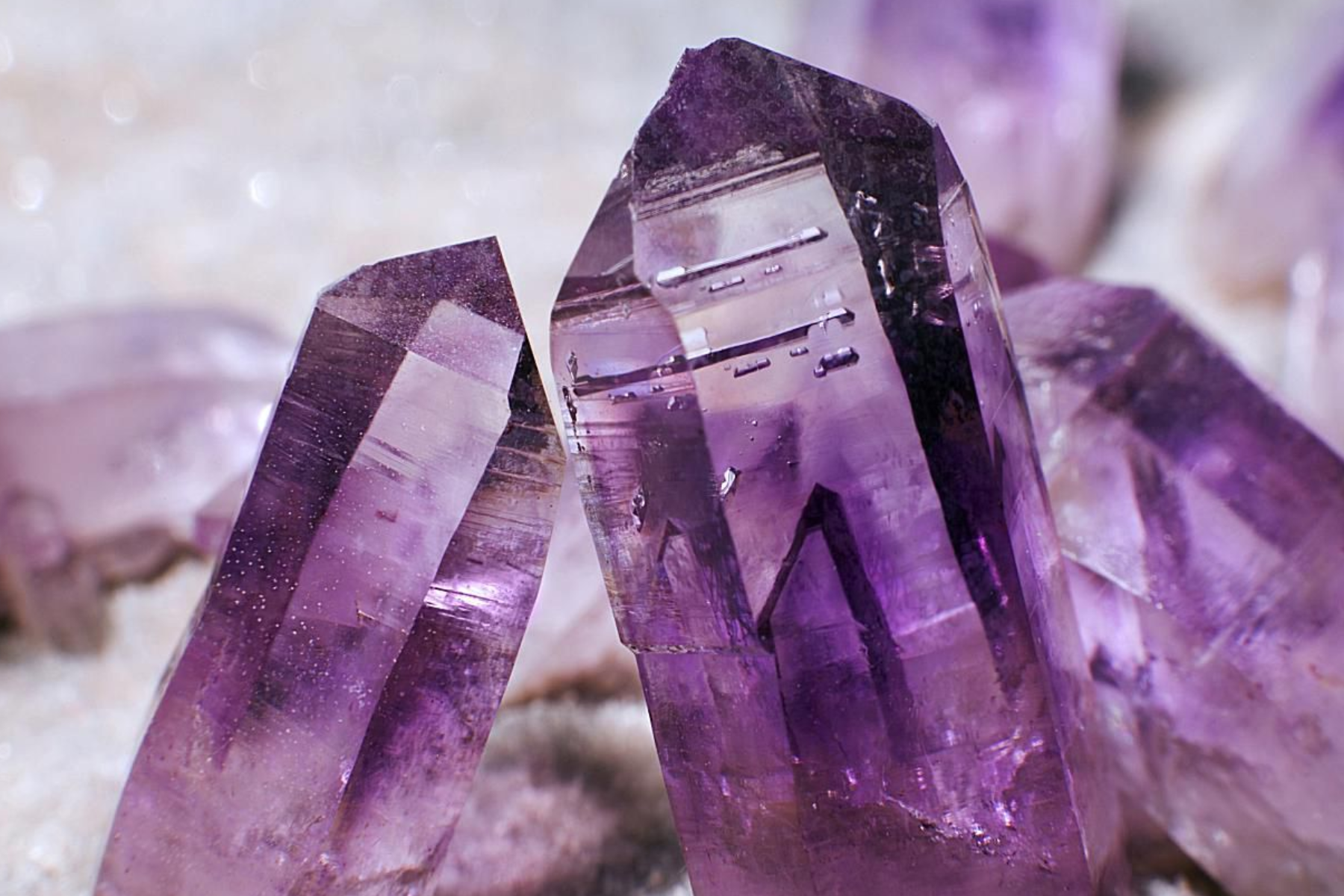 An image of several pieces of amethyst crystals.