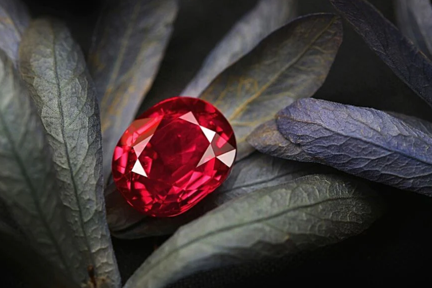 A close-up photograph of a red gemstone resting on green leaves