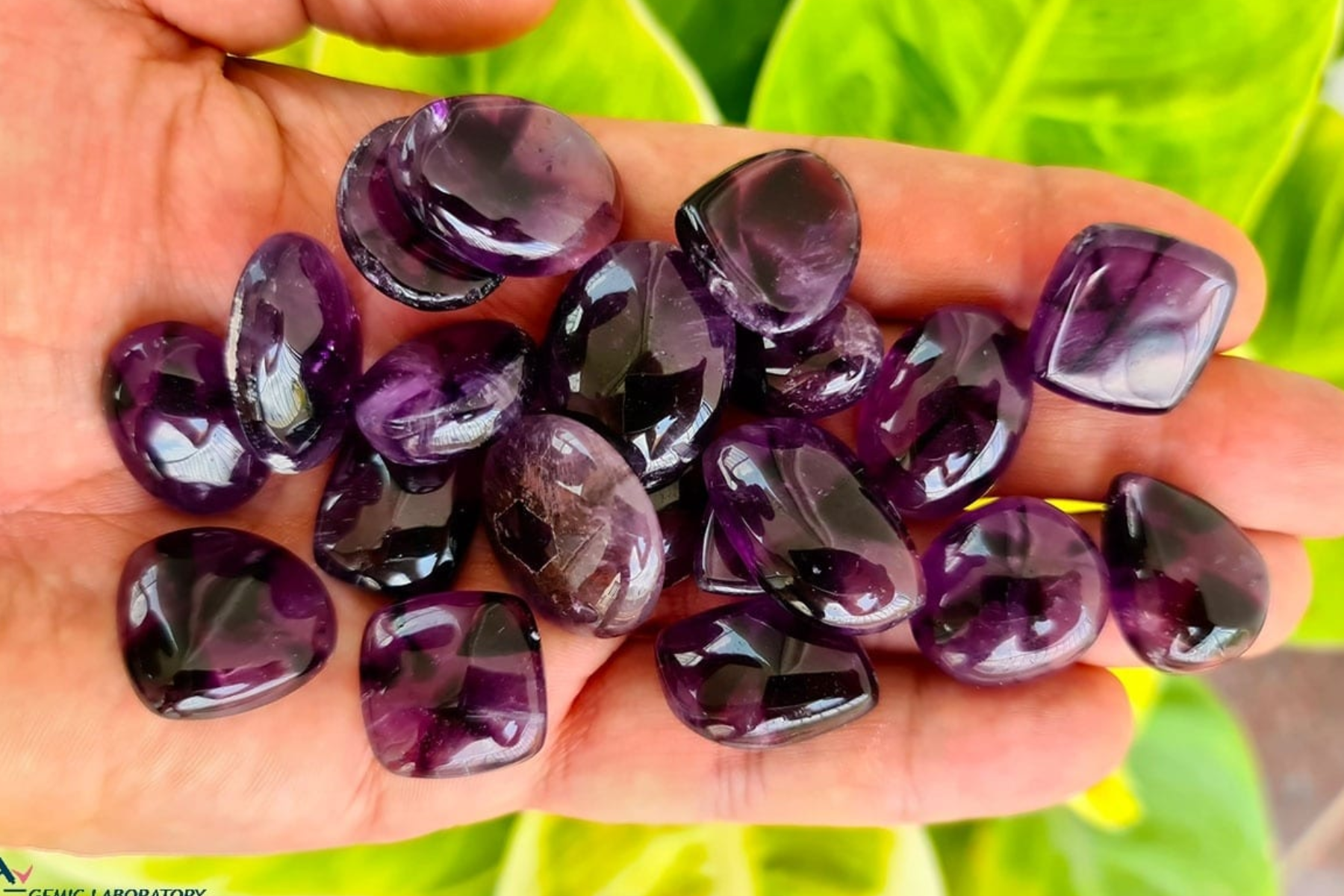 A photograph of a single hand with 19 small, violet stones resting on the palm