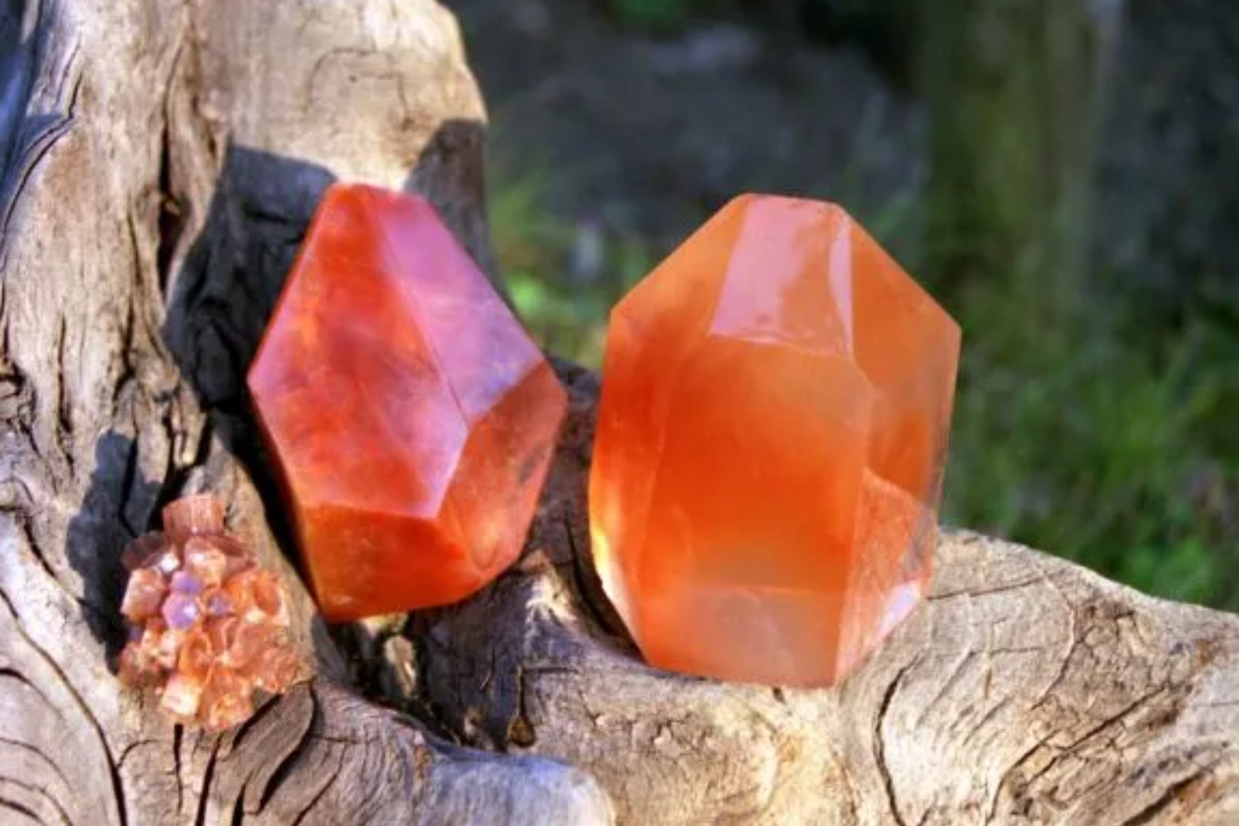 Two orange gemstones on a wood