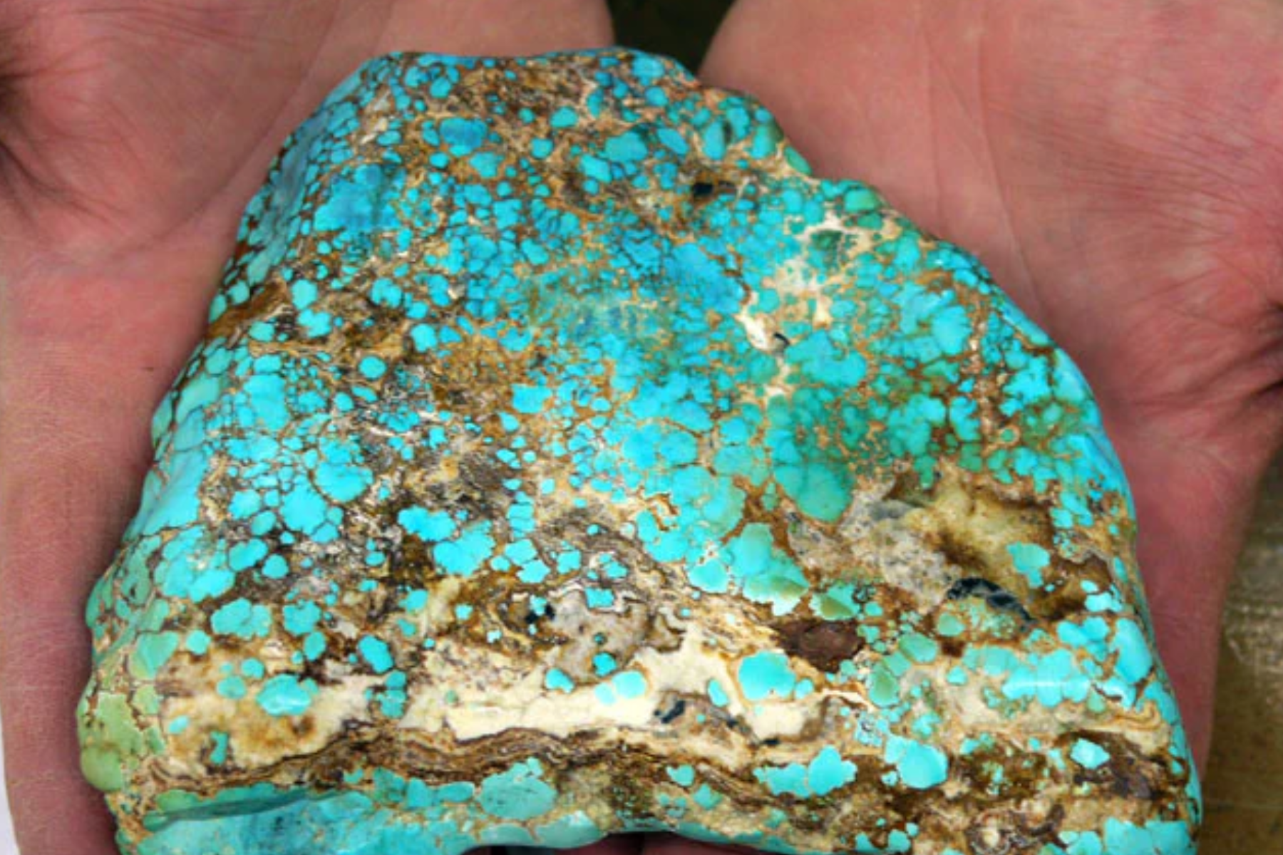 A hand holding a massive American turquoise stone