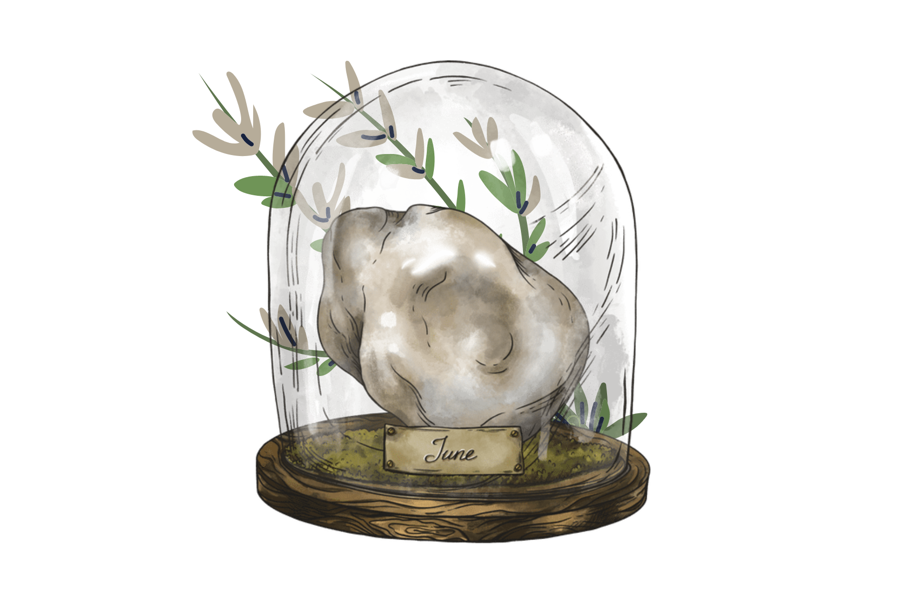 Pearl in a glass jar with leaves on the outside