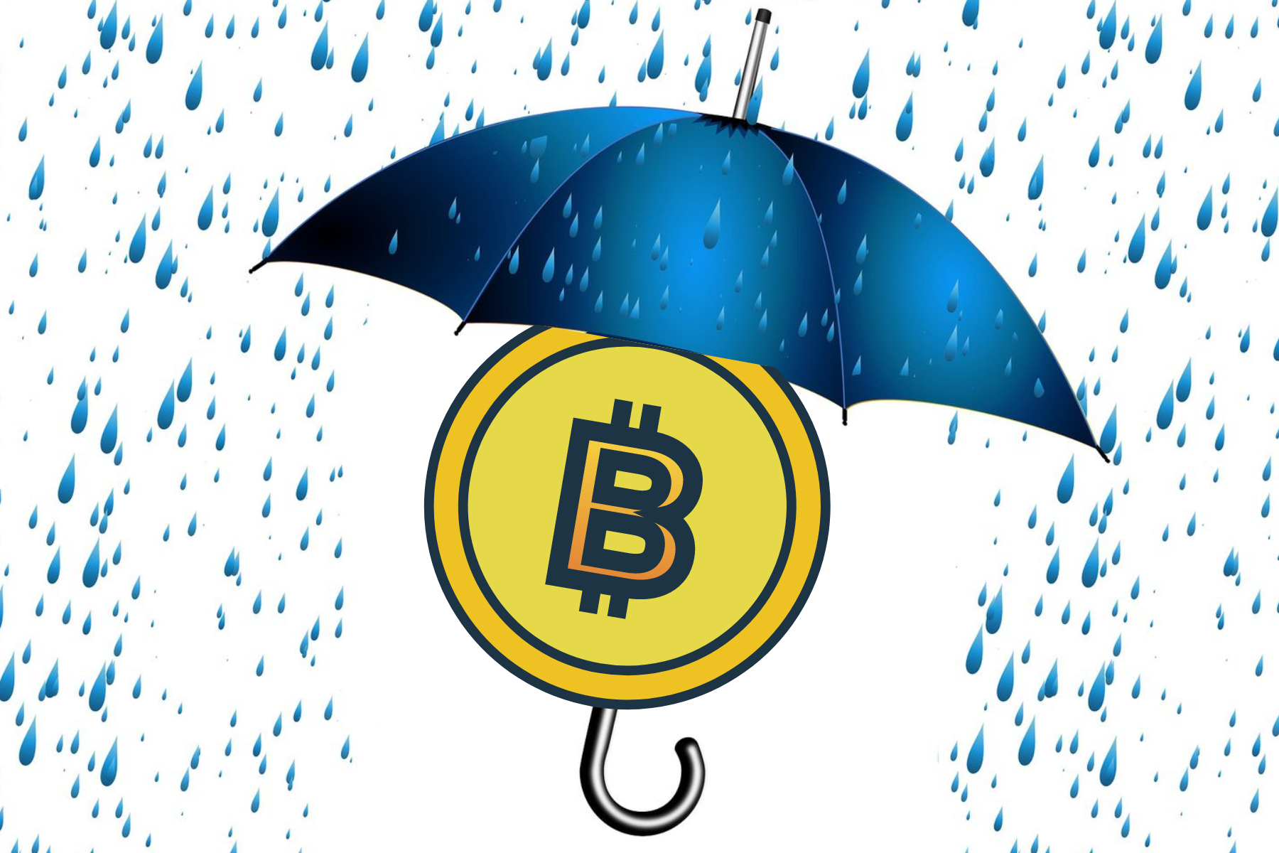 A Bitcoin protected by an umbrella from the rain