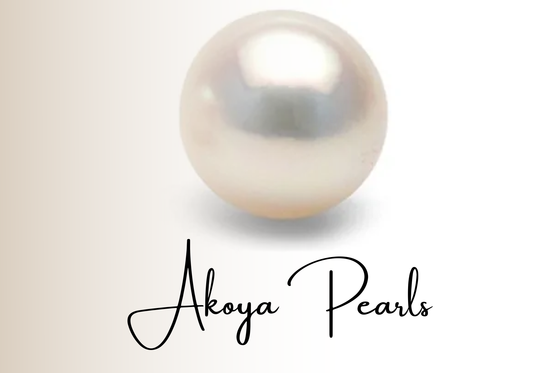 Round cream Akoya pearl