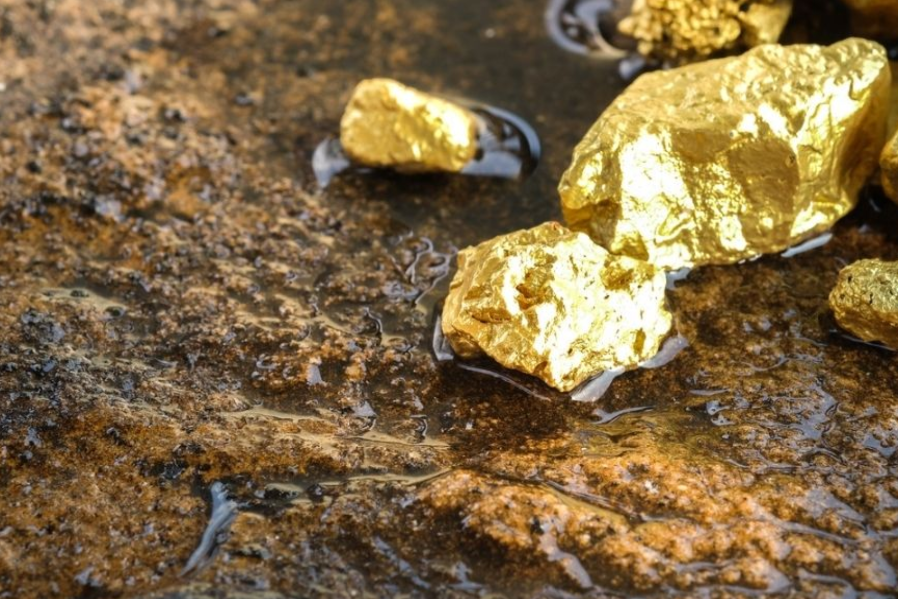 Gold nuggets on a rock
