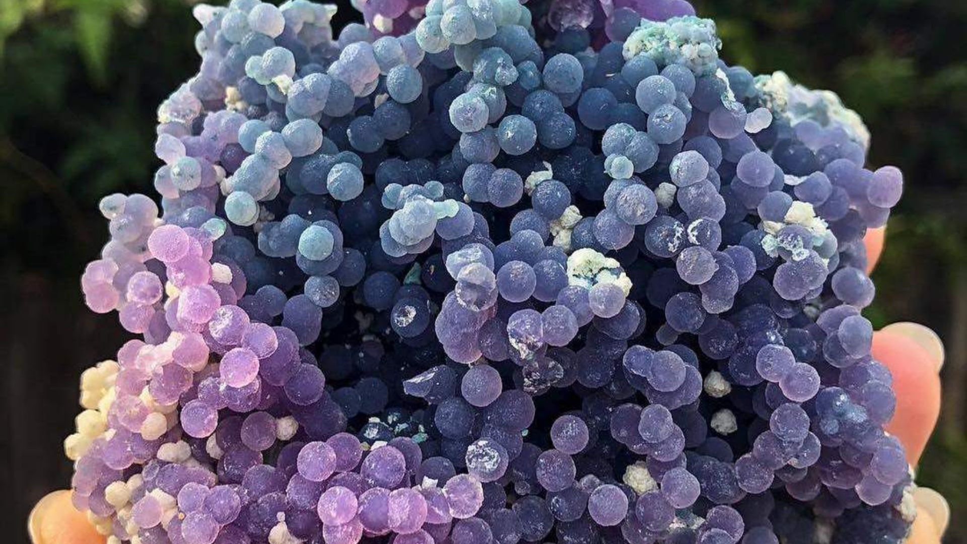  Purple agate In Shape Of Grapes