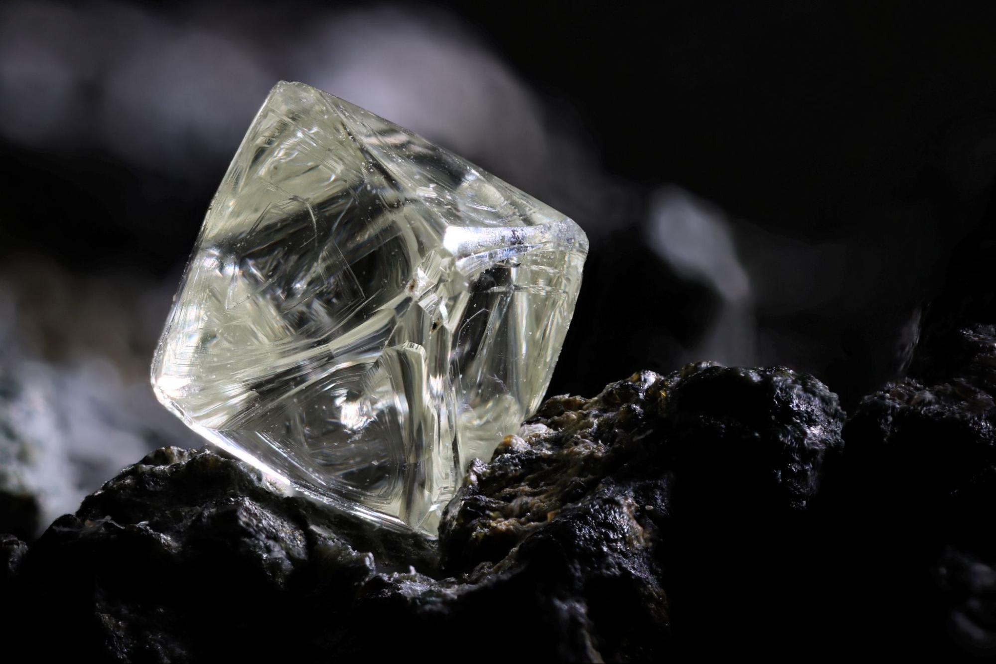 Lab-Grown Experts Robbins Brothers Talking More About Natural Diamonds