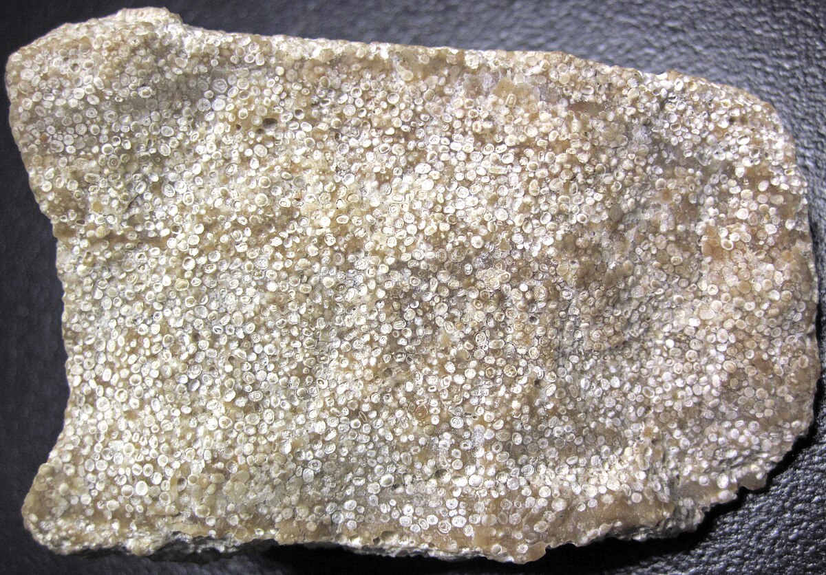 Oolitic limestone