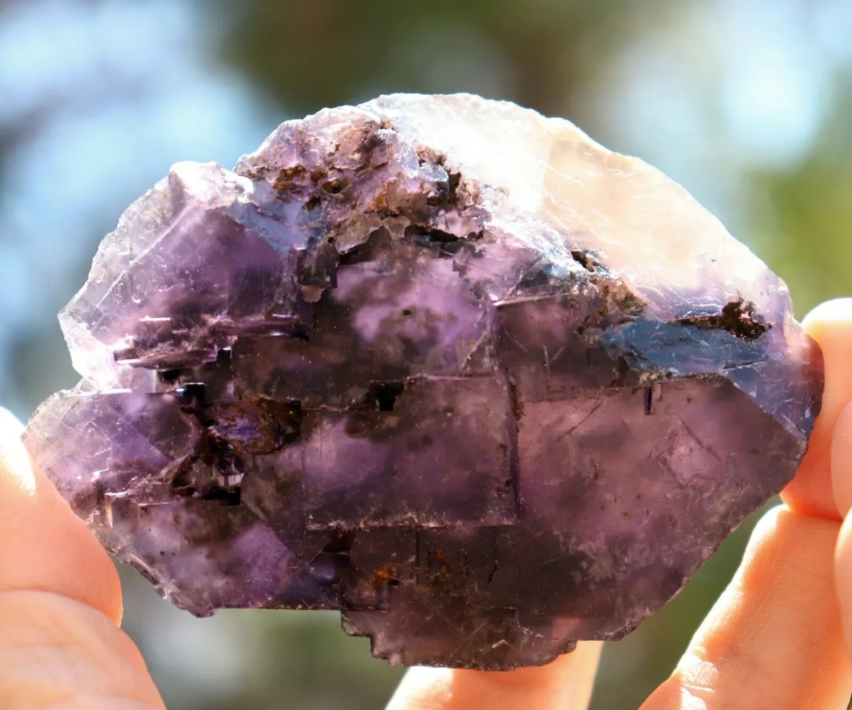 Dark Purple Fluorite from Mexico