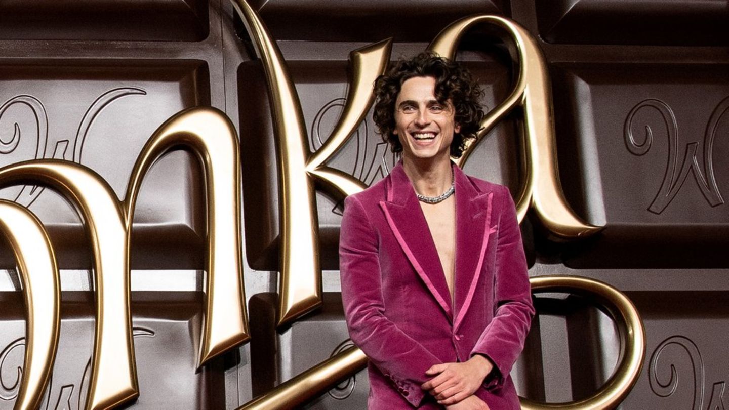 Timothee Chalamet Wore Candy-Inspired Cartier Necklace On 'Wonka' Premiere