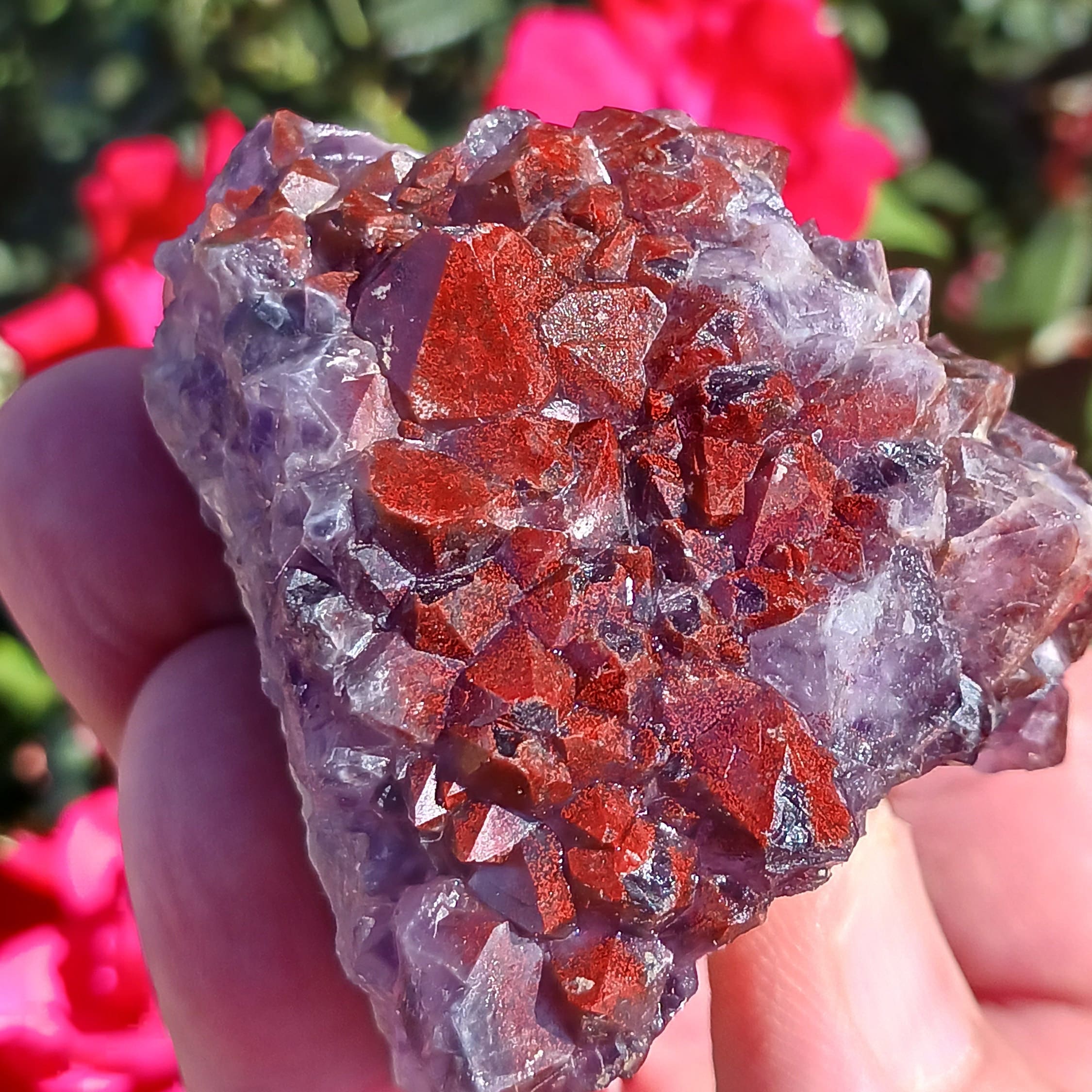 Very Rare Deep Red Amethyst Crystal