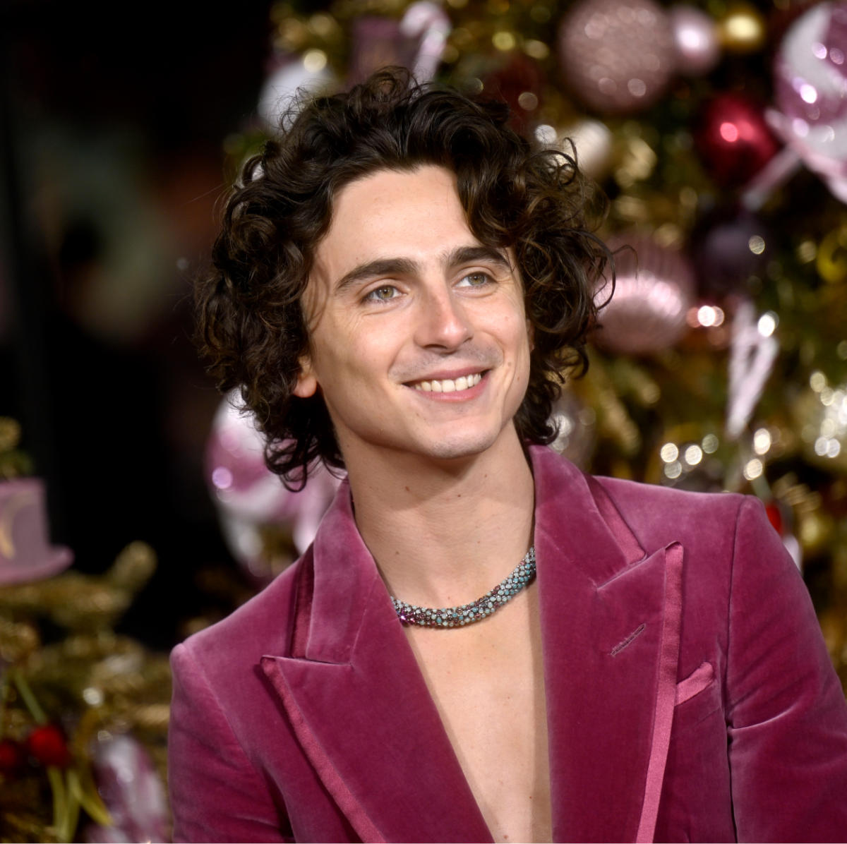 Timothee Chalamet wearing a purple suit and candy-inspired Cartier necklace