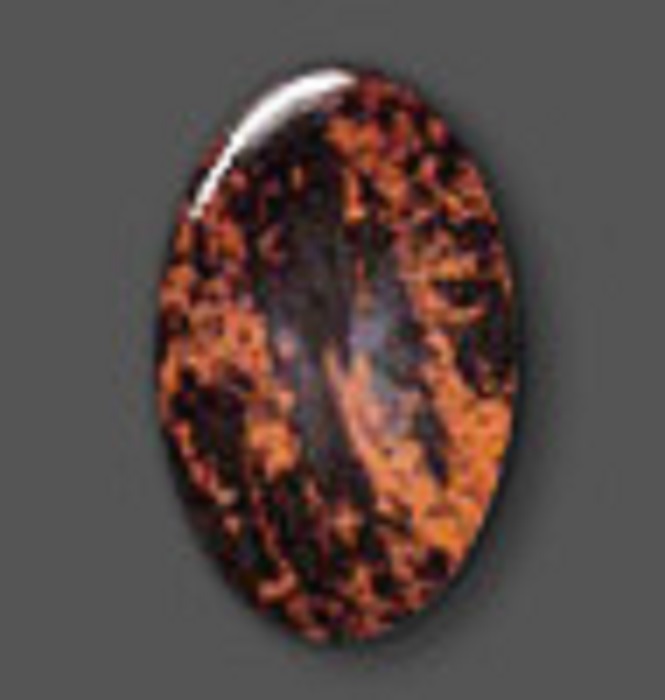 An oval obsidian with combined patches of black and mahogany