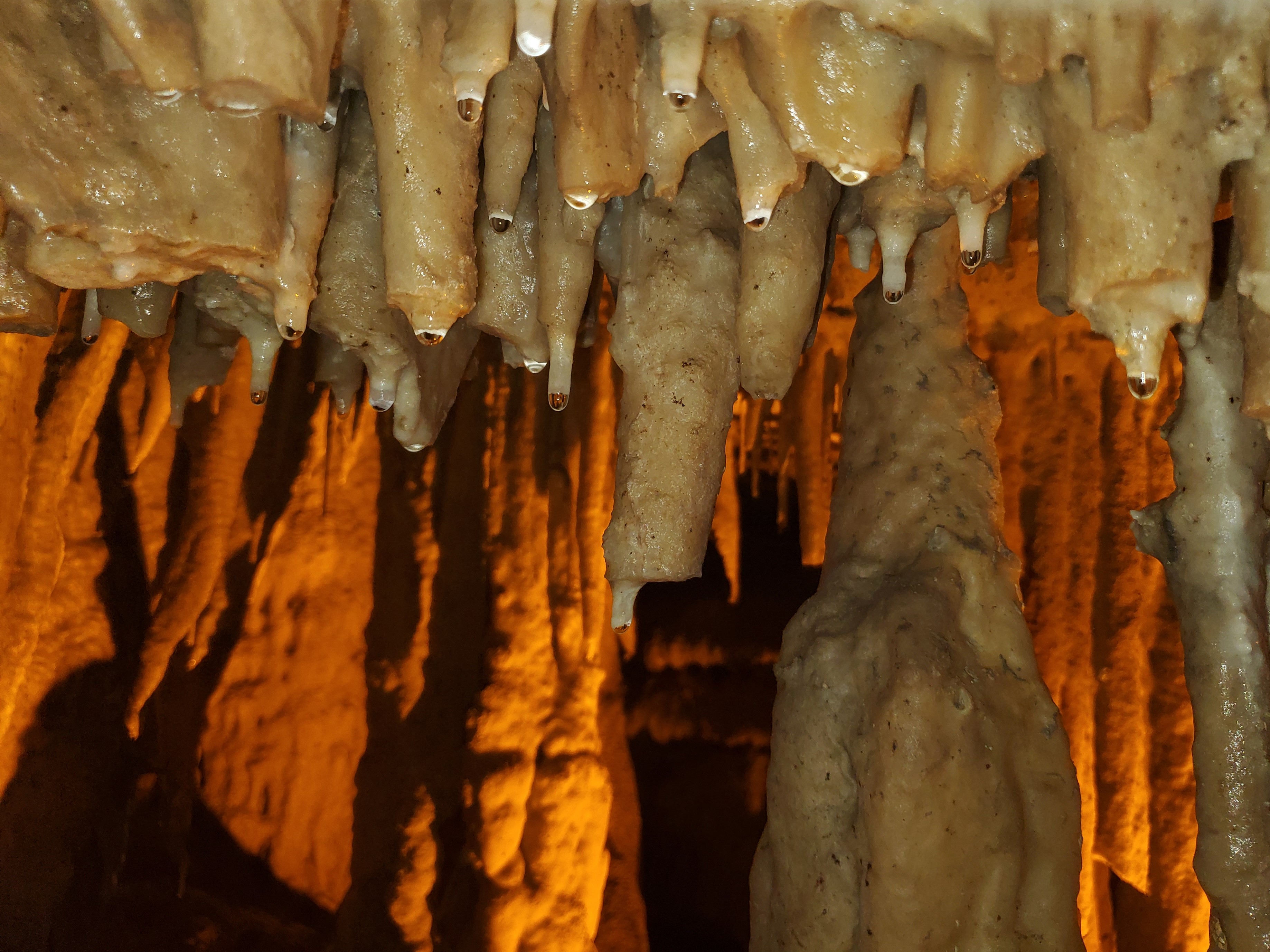 Stalagmites In Cave