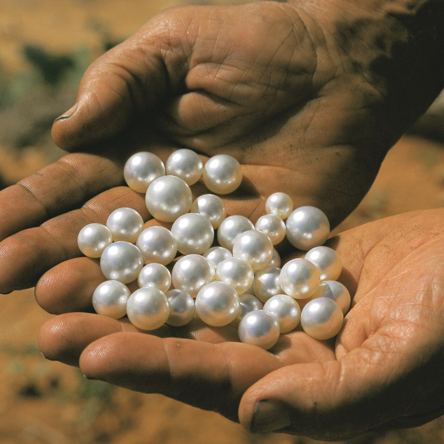 Hand Full Of Pearls
