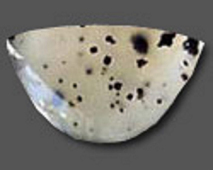 An agate with a straight top curved bottom and small and big black spots or specks on it
