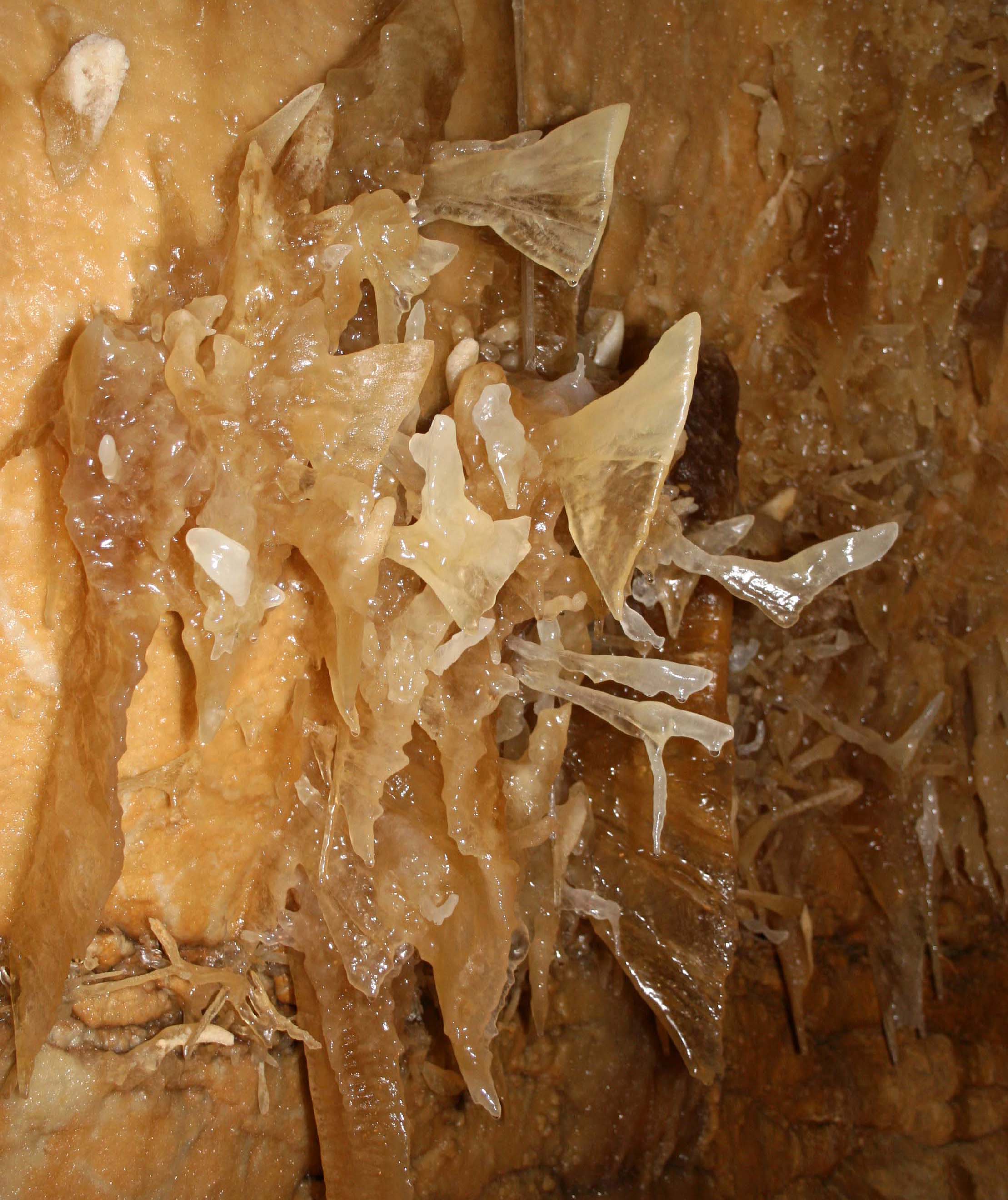 Closeup Of Helictite-Studded Stalagmites