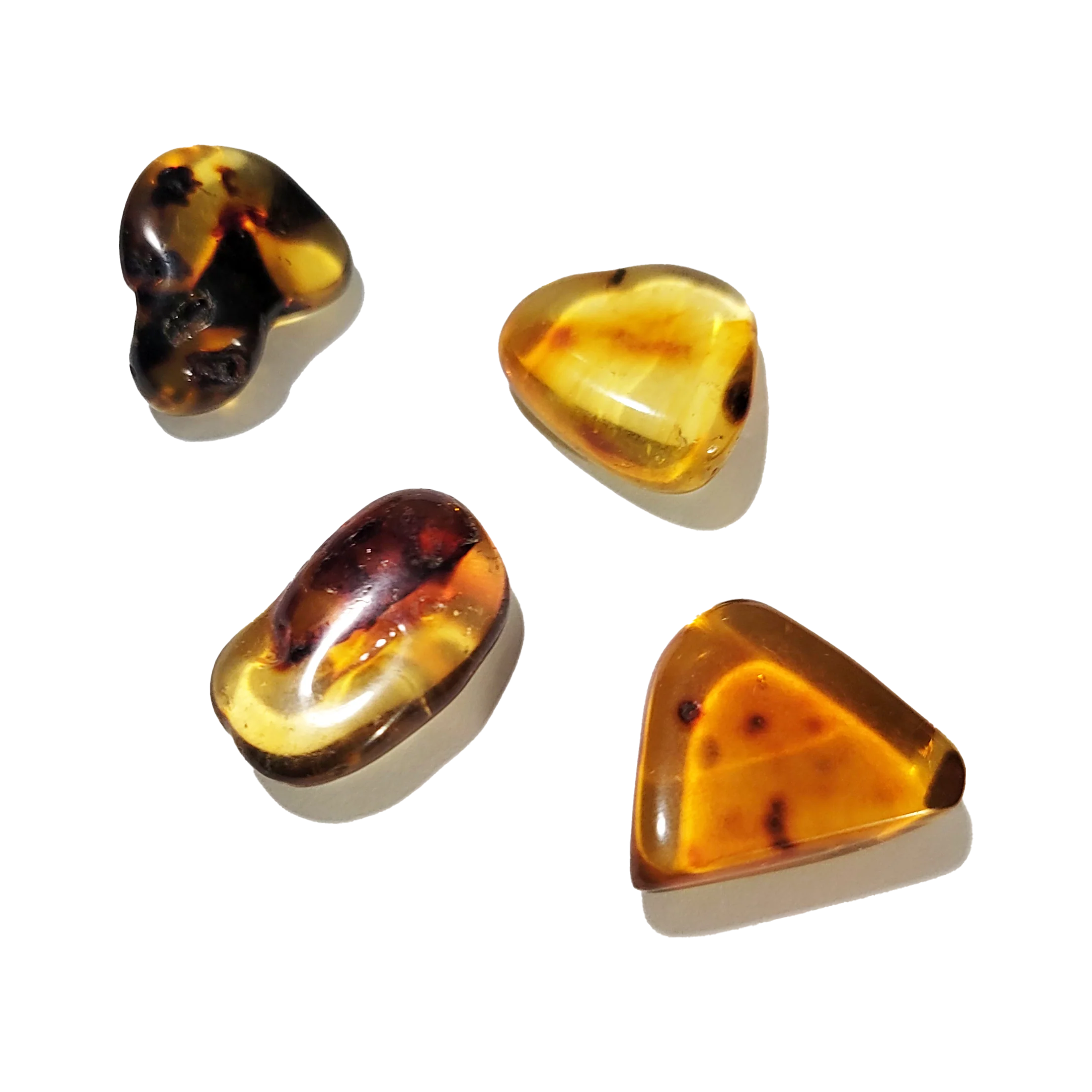 Amber Facts, Information And Description