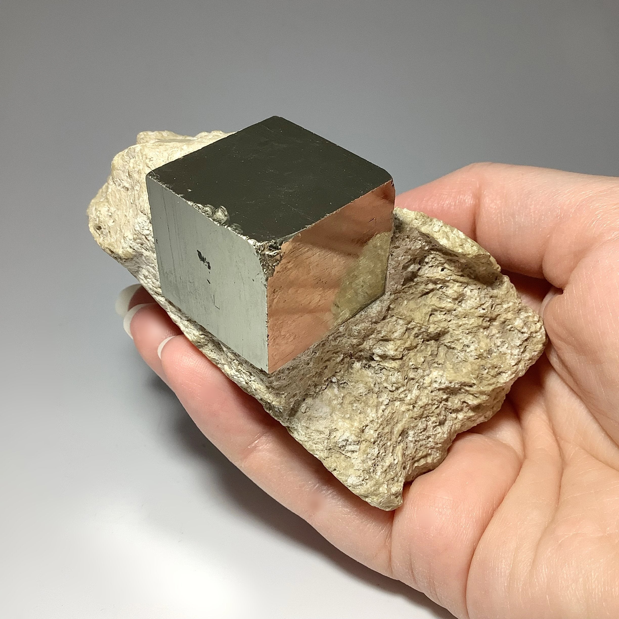 Iron Pyrite Cubes in Matrix